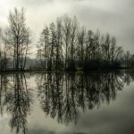 Jeux de reflets sur les étangs de Bas-en-Basset